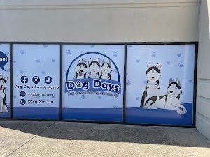 Dog Days San Antonio place picture